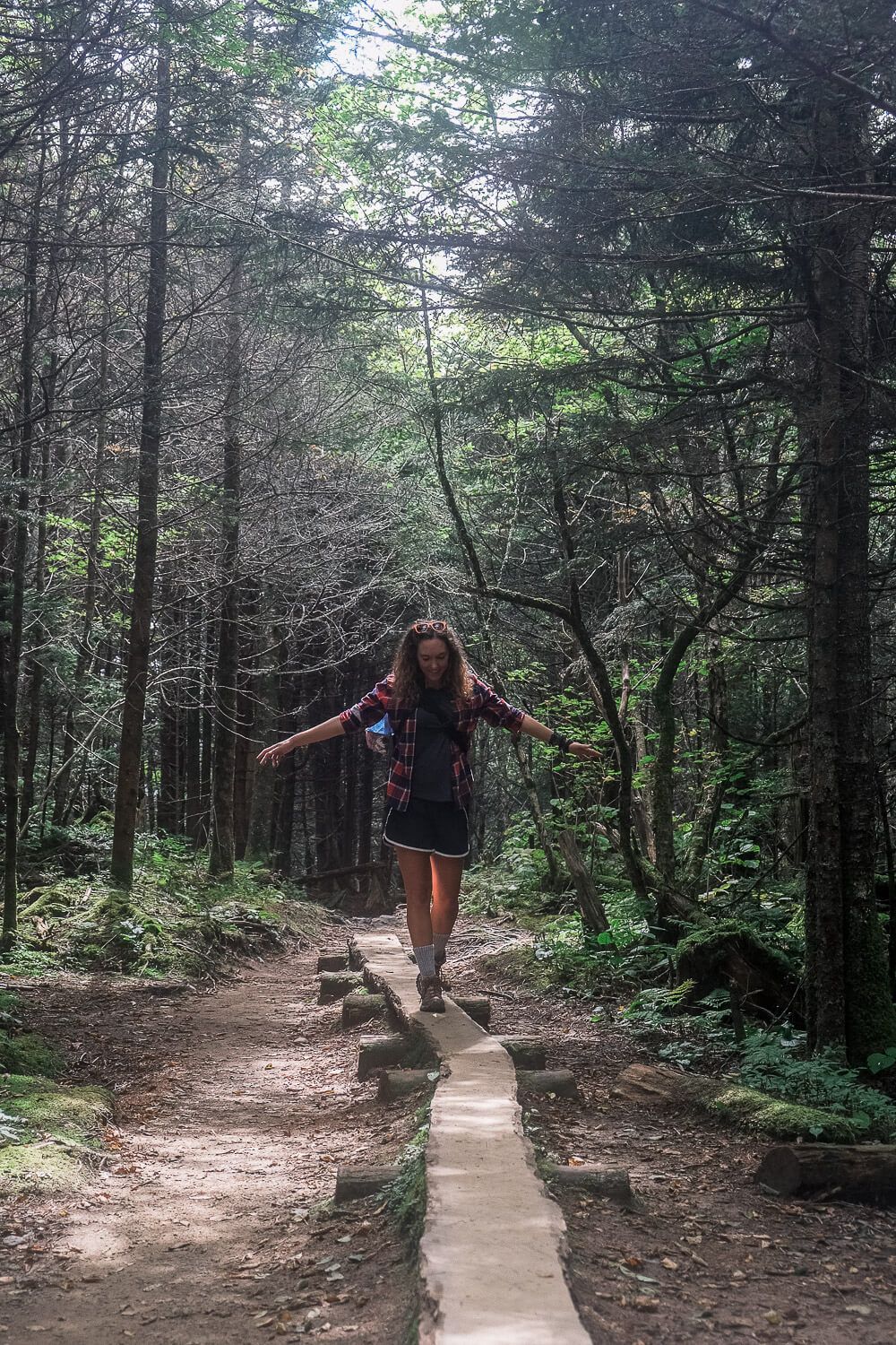 Andrews Bald Hike - Great Smoky Mountains National Park