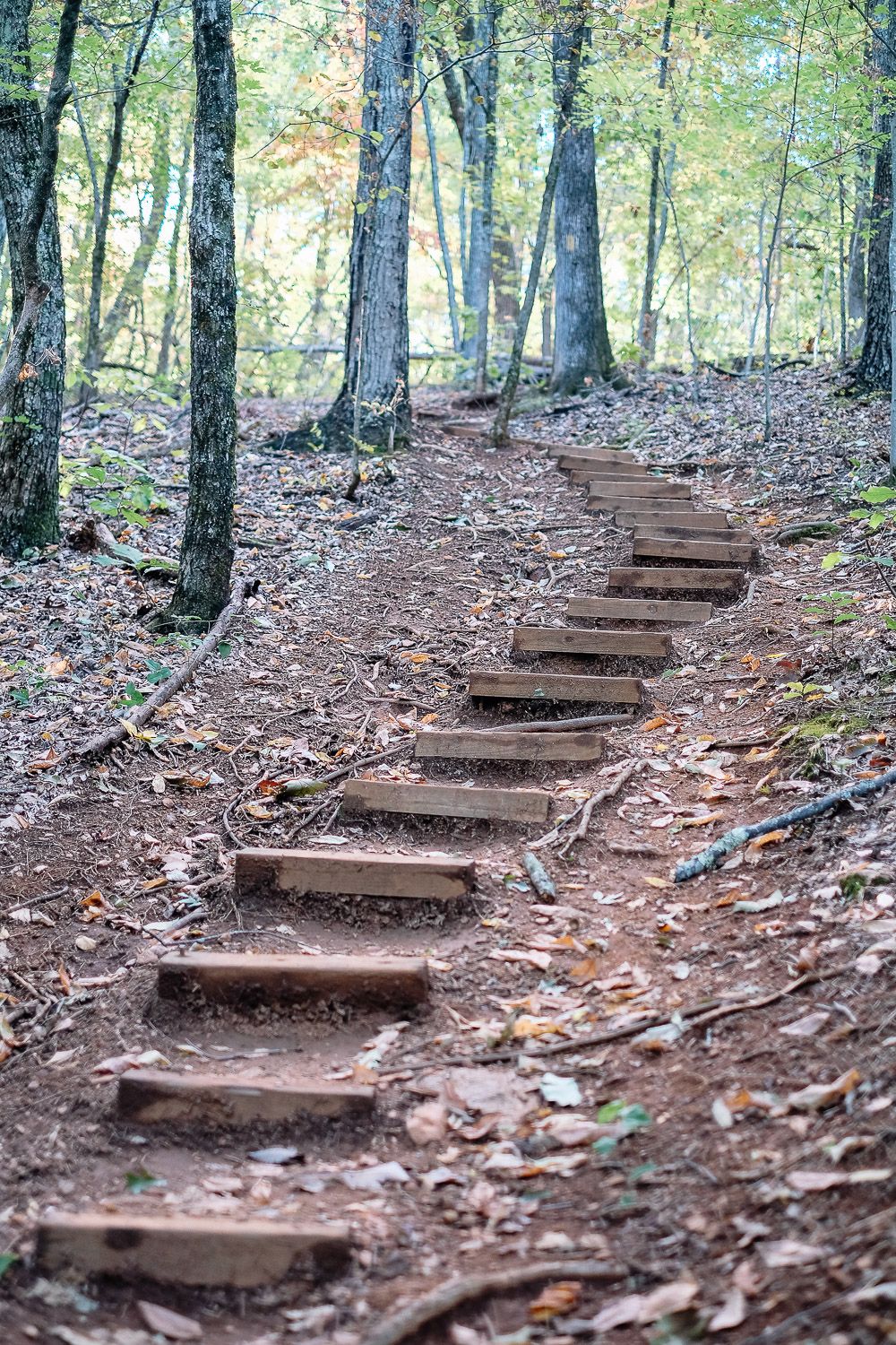 Hiking in Paris Mountain State Park