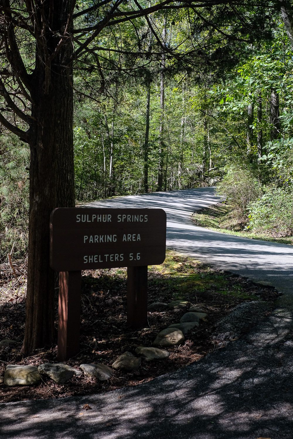 Hiking in Paris Mountain State Park