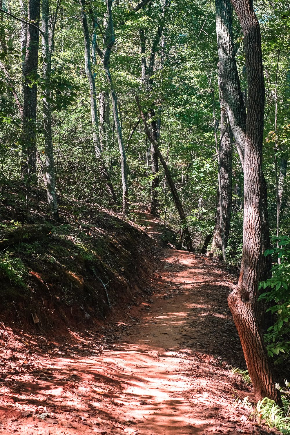 Hiking in Paris Mountain State Park