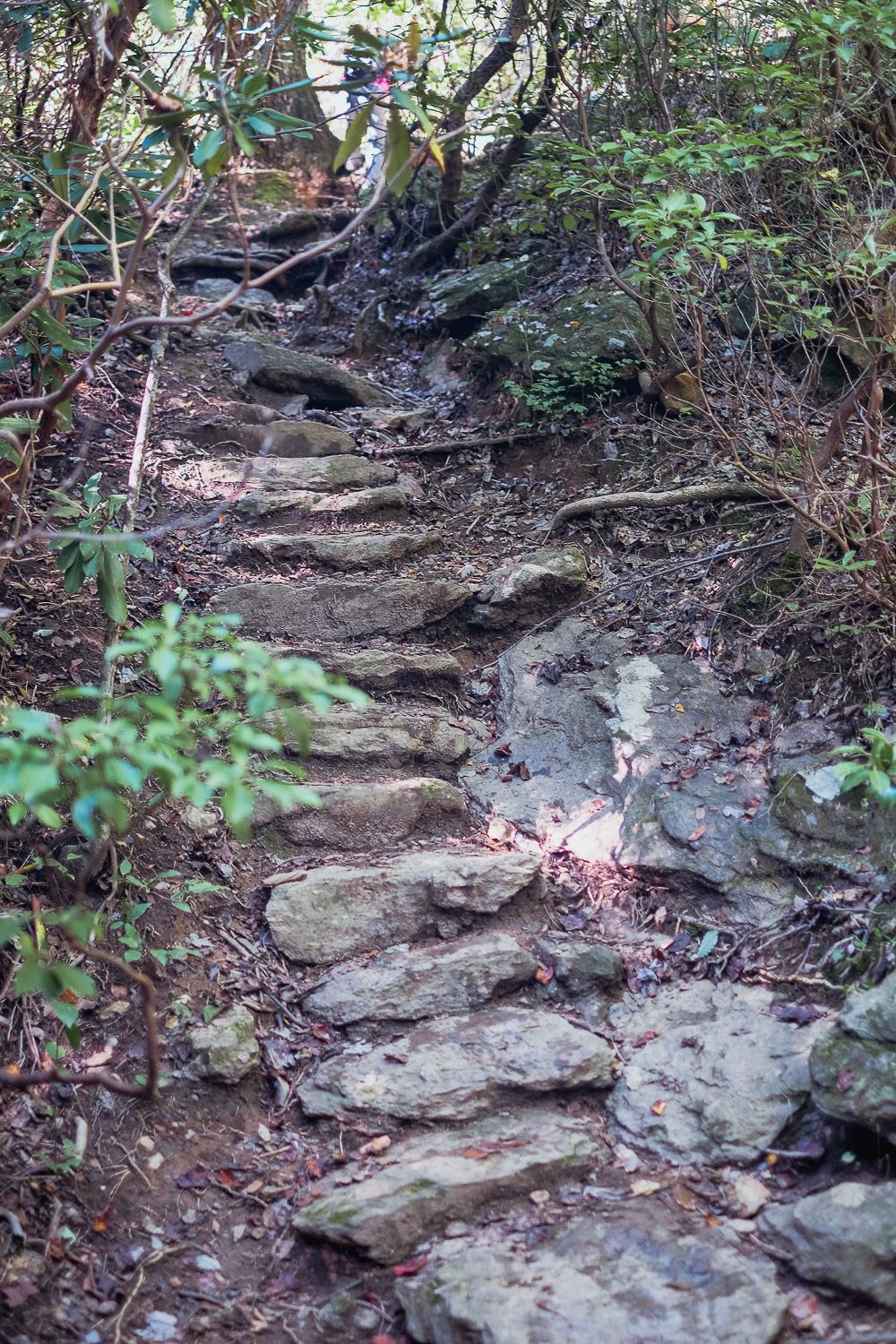 Hiking in Paris Mountain State Park