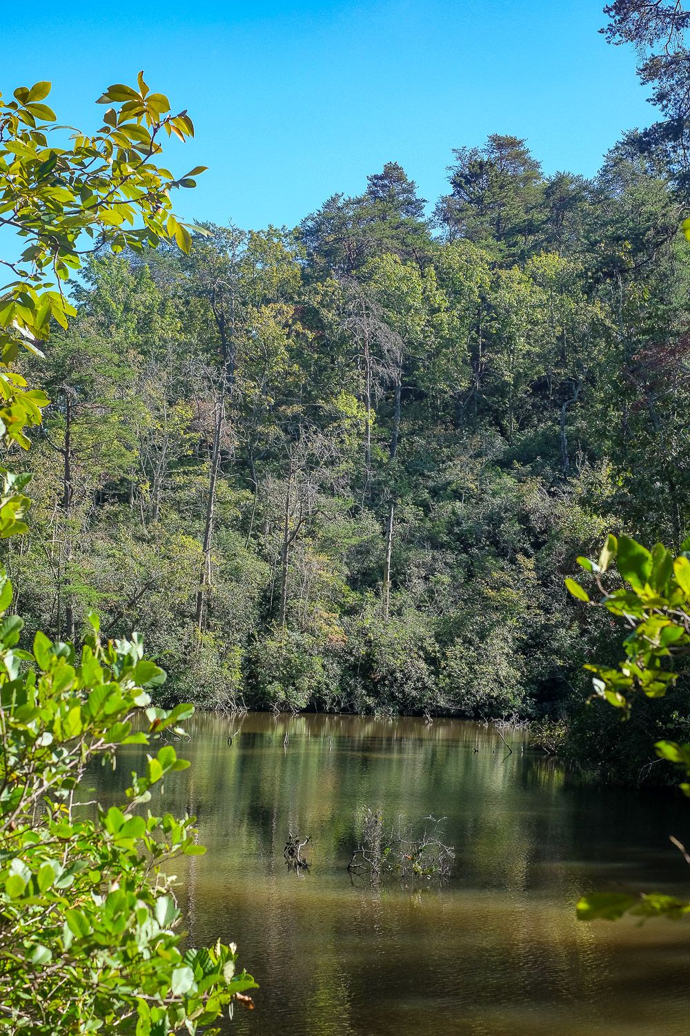 Hiking in Paris Mountain State Park