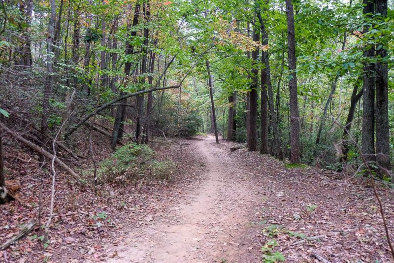 Hiking in Paris Mountain State Park