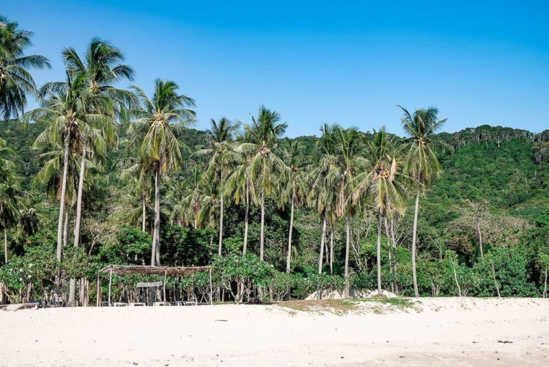 Things to do in Koh Lanta: Rent a Motorbike