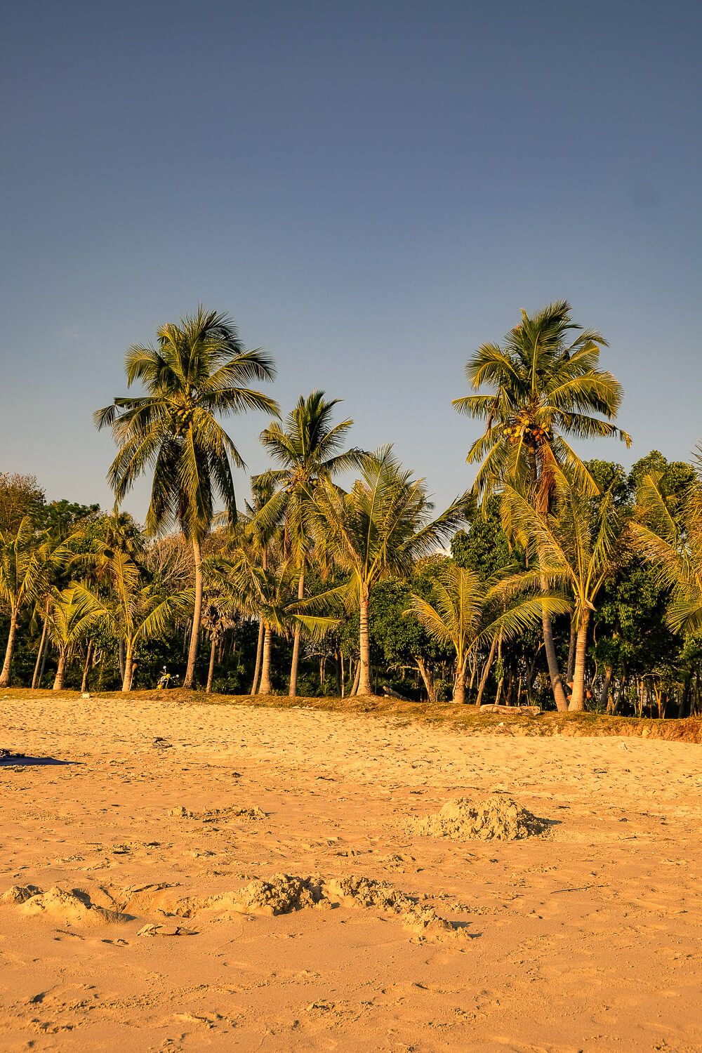 Things to do in Koh Lanta: Rent a Motorbike