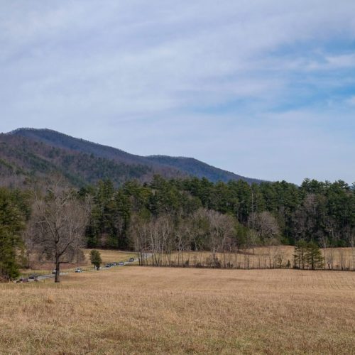 Driving the Cades Cove Loop Road