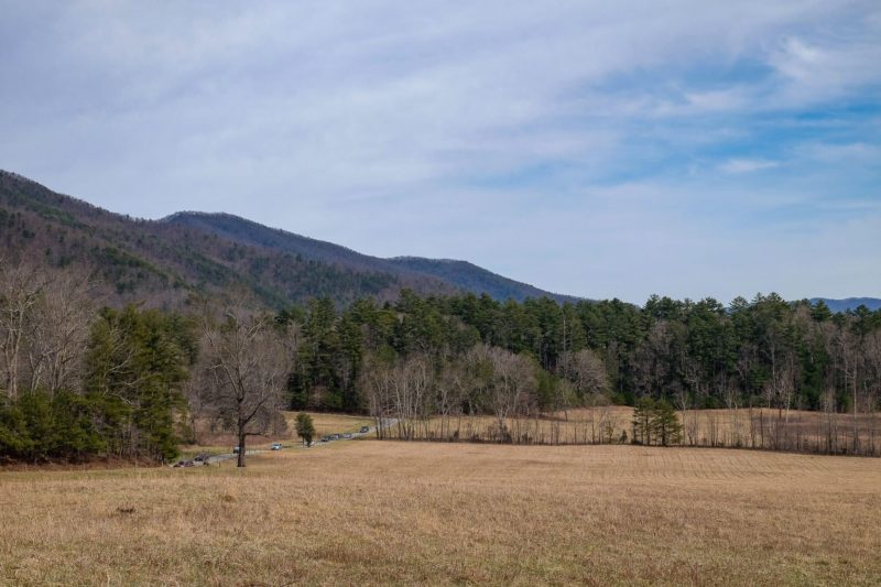 Driving the Cades Cove Loop Road What You Need To Know