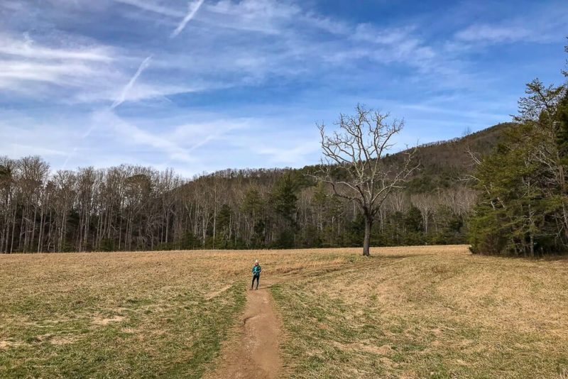 Cades Cove Loop