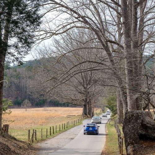 Cades Cove Loop