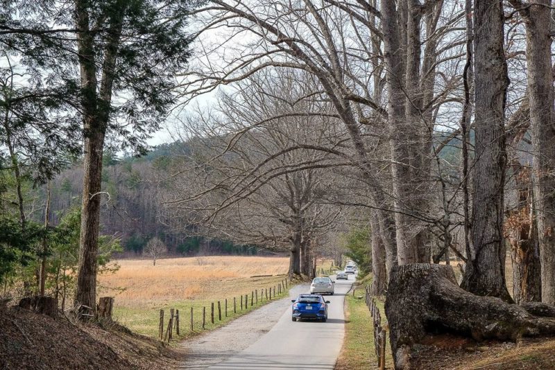 Cades Cove Loop