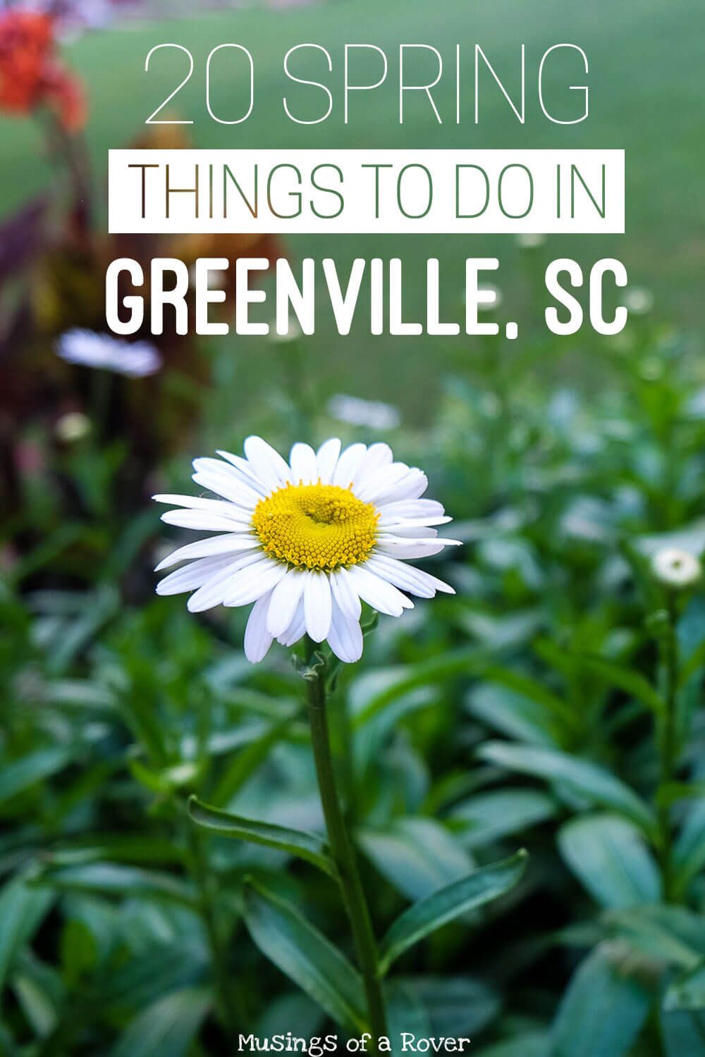 Traveling to Greenville, South Carolina this spring? Or are you a local looking for something to do this weekend? Here are 20 things to keep you busy! Everything from holiday celebrations and festivals to everyday activities like biking the swamp rabbit trail, nearby day-trips to chimney rock, picking strawberries, and more. travel tips, travel advice, greenville sc things to do, greenville south carolina things to do