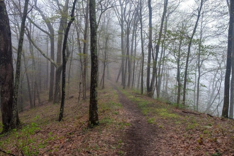 Rich Mountain Loop: Indian Grave Gap Trail