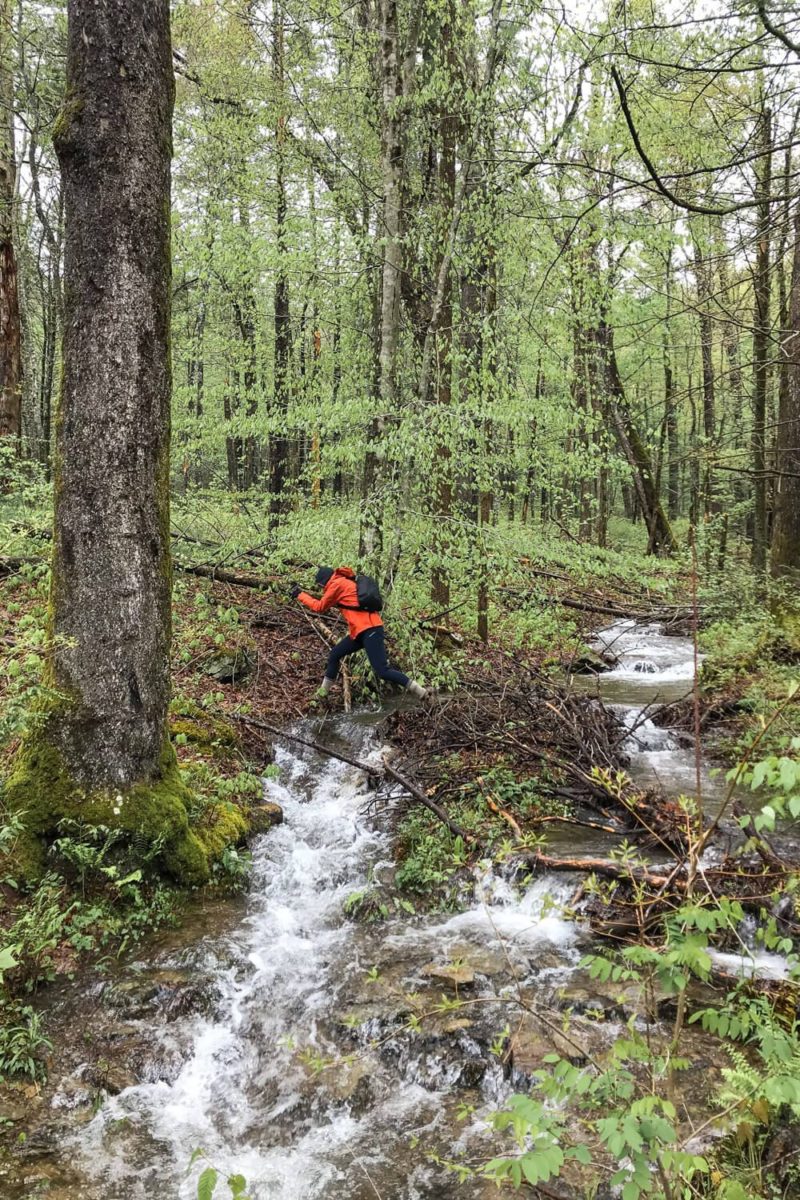 Rich Mountain Loop Trail Stream Crossing