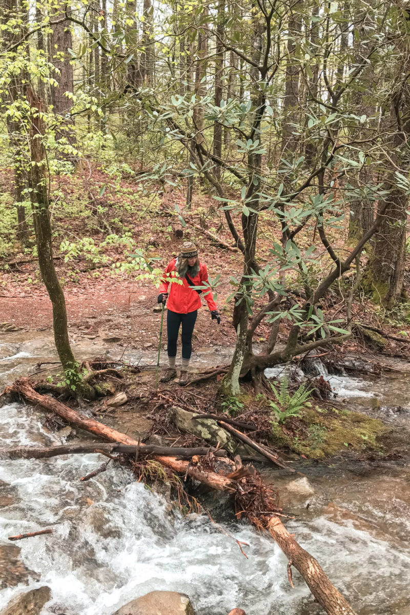 Rich Mountain Loop Trail