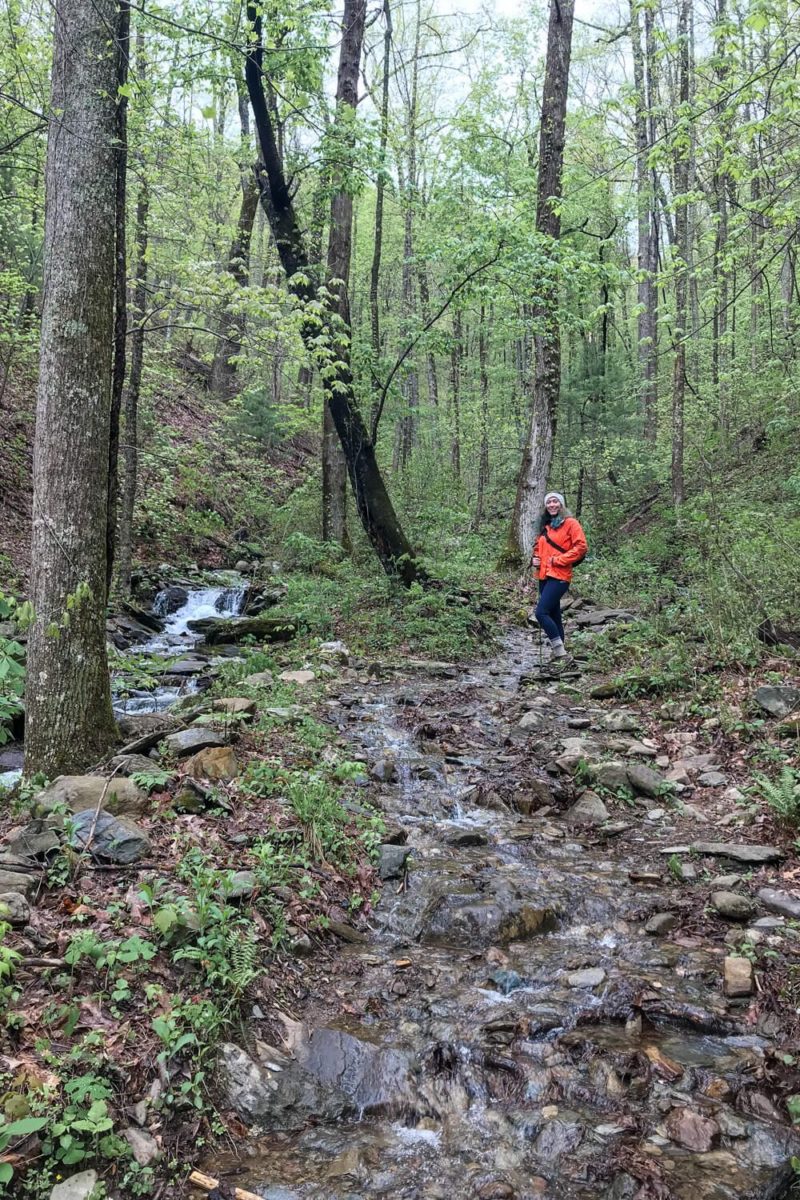 Rich Mountain Loop Trail