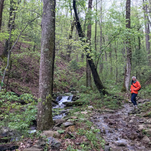 Hike the Rich Mountain Loop: Great Smoky Mountains