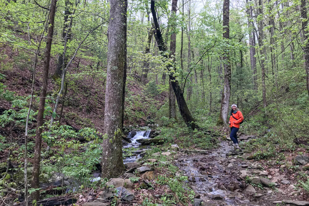 Rich Mountain Loop Trail