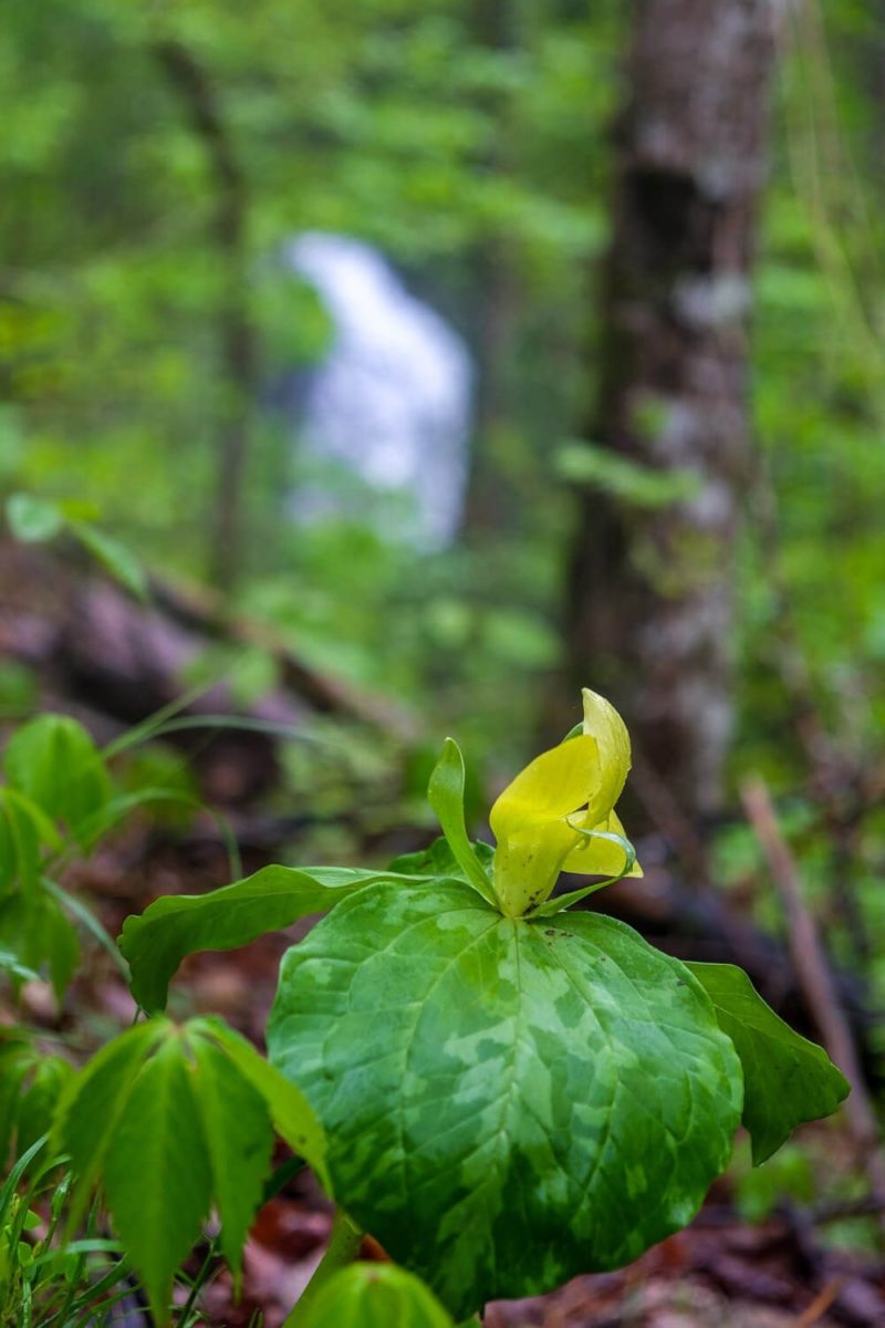 Crooked Arm Cascade