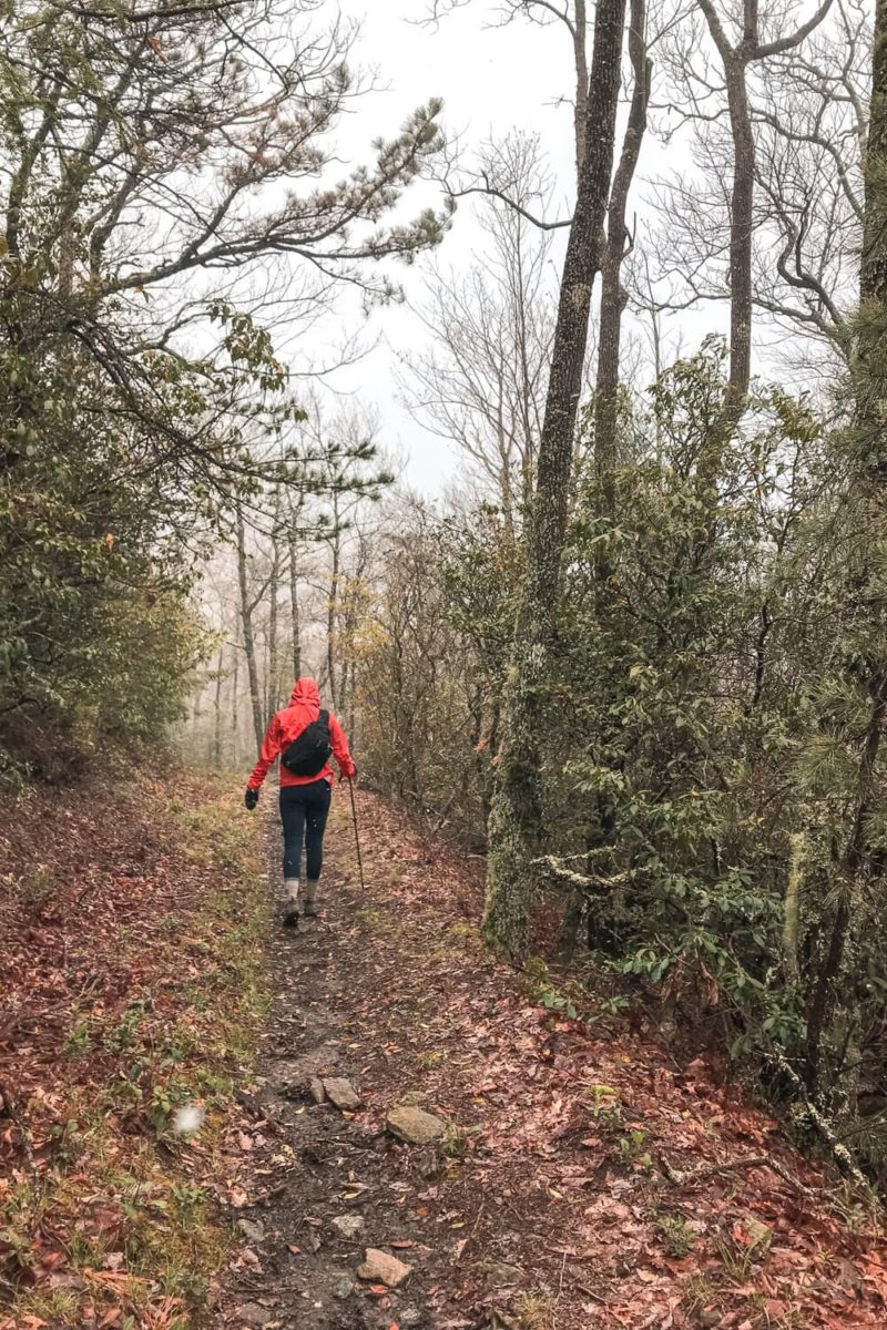 Rich Mountain Loop: Indian Grave Gap Trail