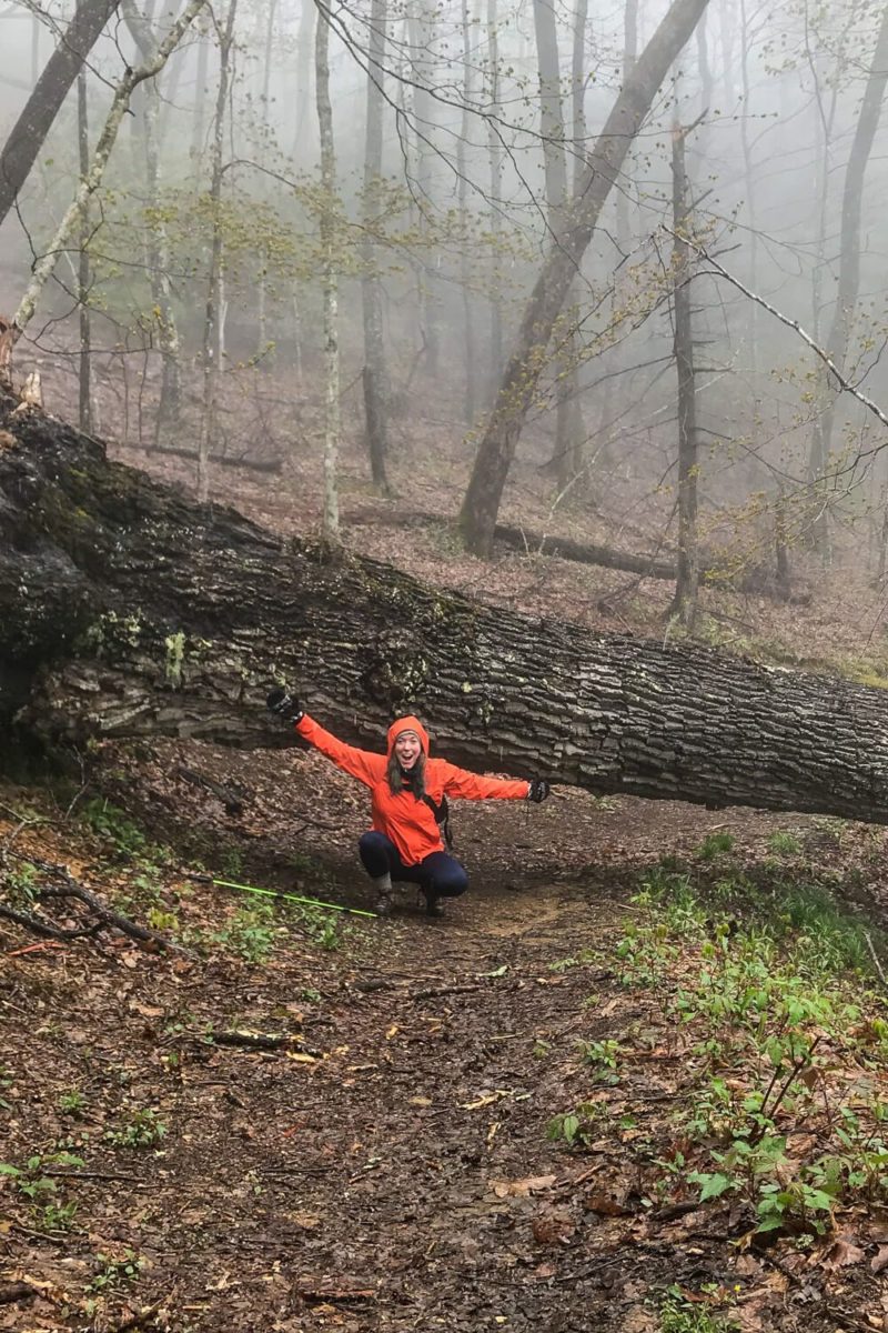 Rich Mountain Loop: Crooked Arm Trail