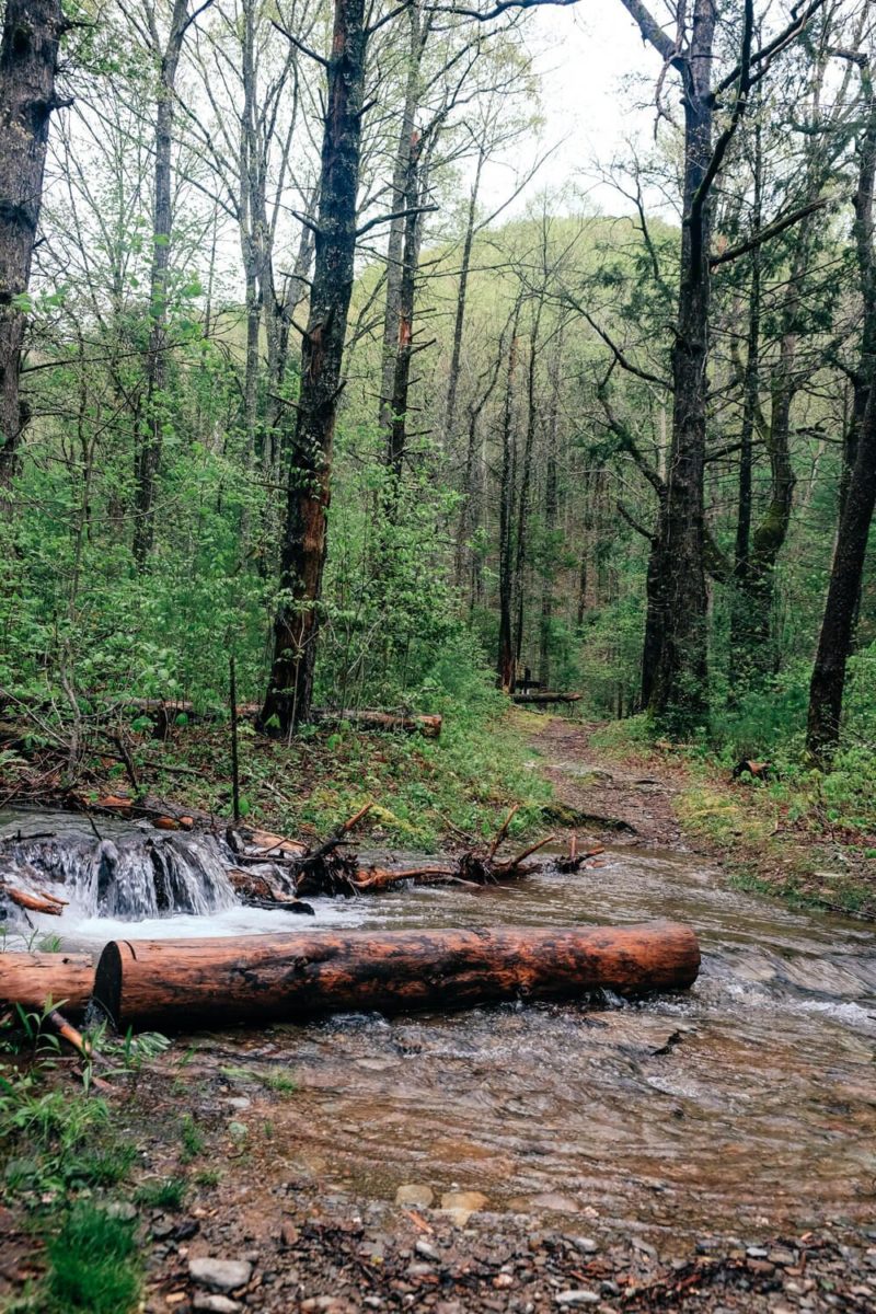 Rich Mountain Loop Trail