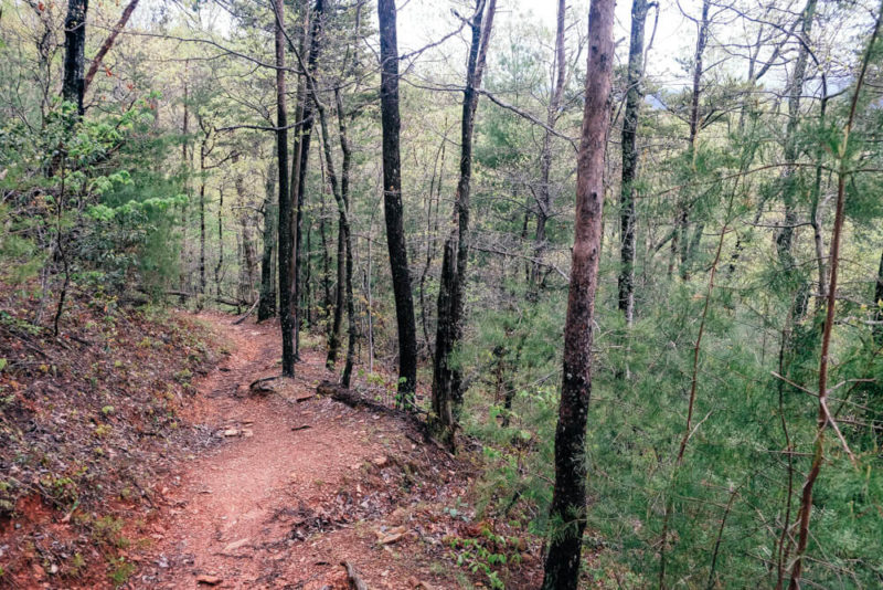 Rich Mountain Loop Trail