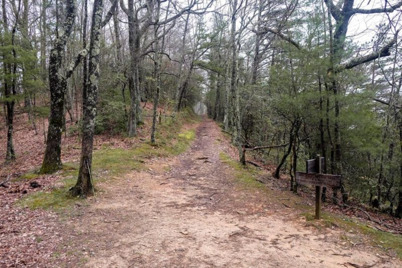 Rich Mountain Loop Trail: Indian Grave Gap Trail