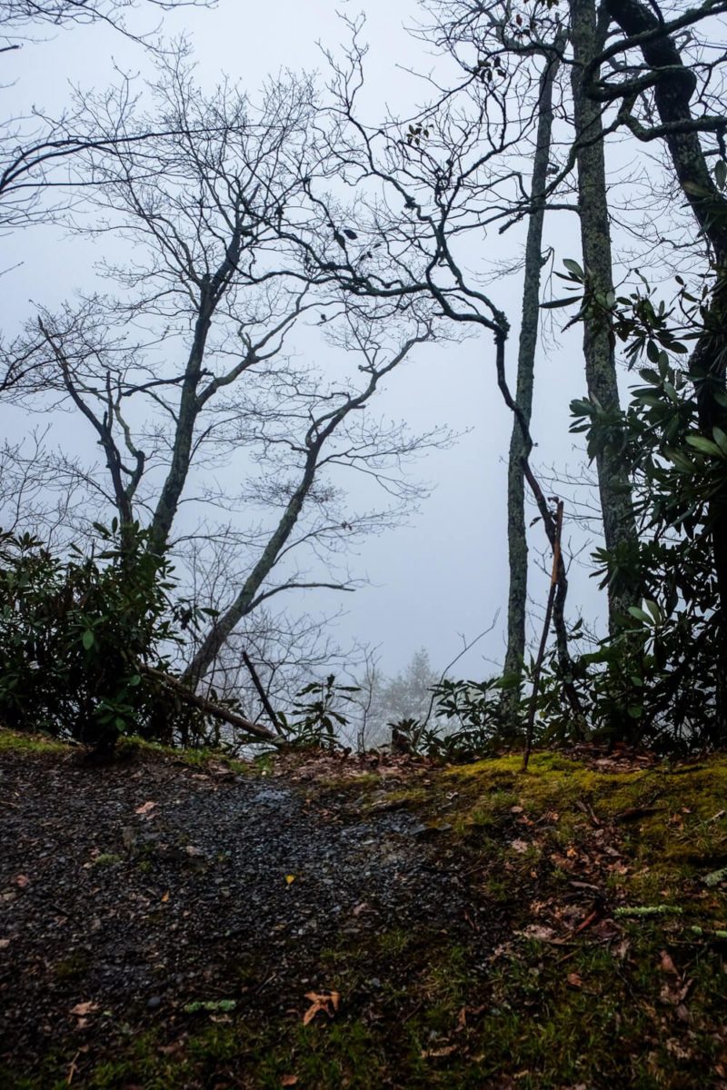 Rich Mountain Loop Trail: Indian Grave Gap Trail