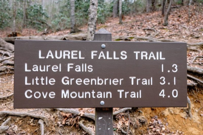 Laurel Falls Trailhead