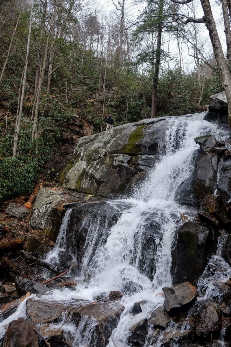 Laurel Falls Trail