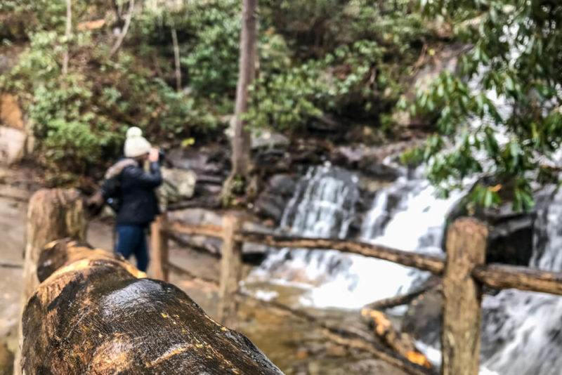 Laurel Falls Trail