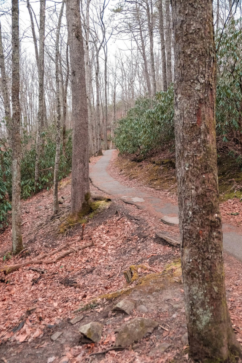 Laurel Falls Trail