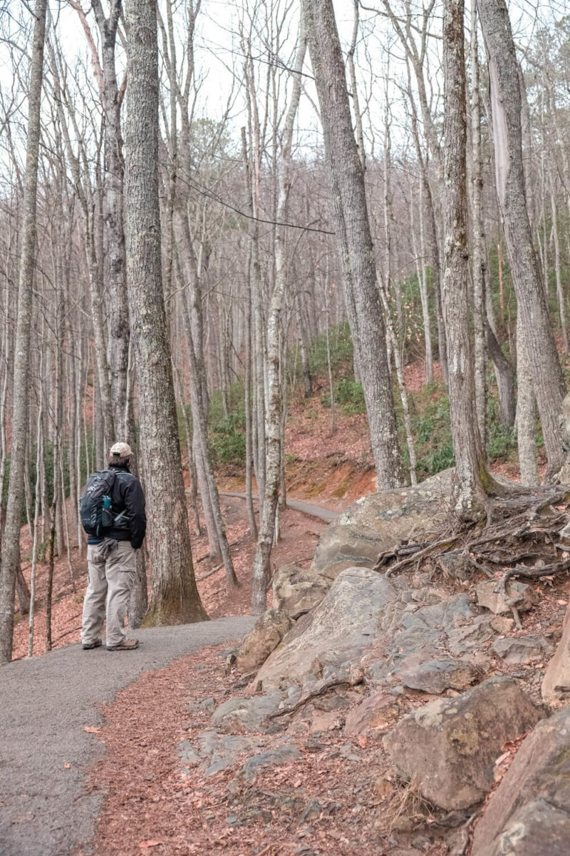 Laurel Falls Trail