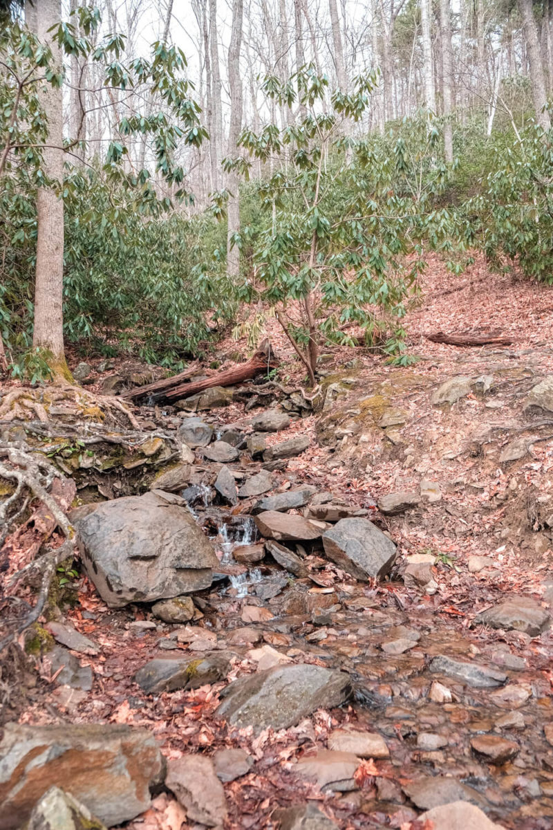 Laurel Falls Trail