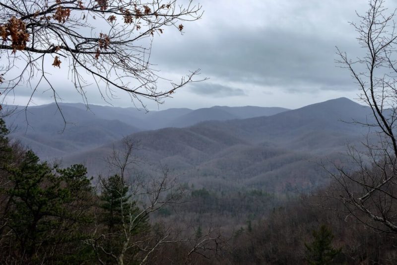 Laurel Falls Trail View