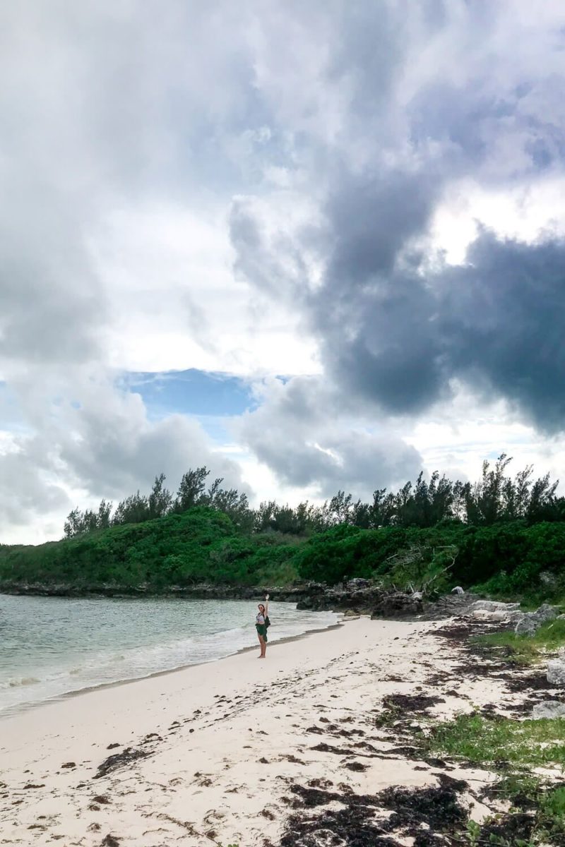 Coopers Island Nature Reserve, Bermuda