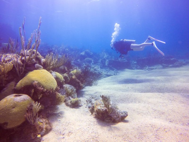 Diving in Bermuda