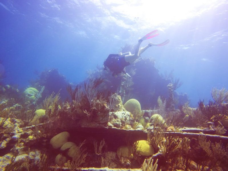 Diving in Bermuda