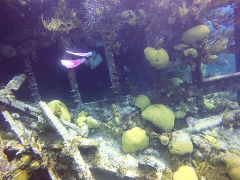 Diving in Bermuda