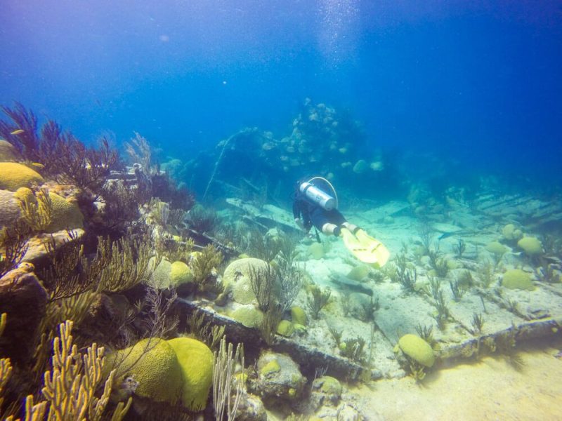 Diving in Bermuda