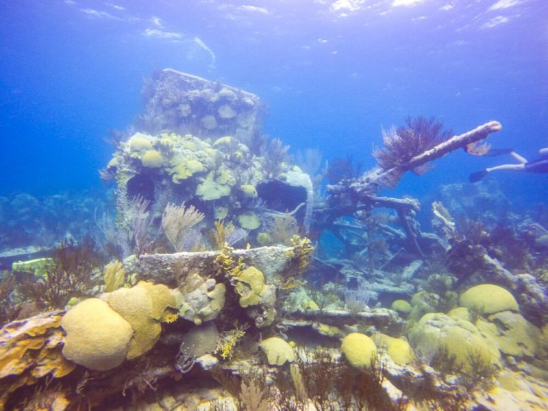 Diving in Bermuda