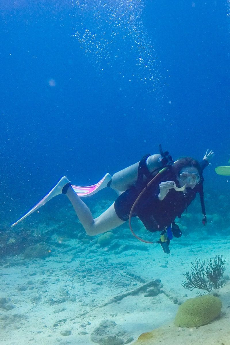 Diving in Bermuda