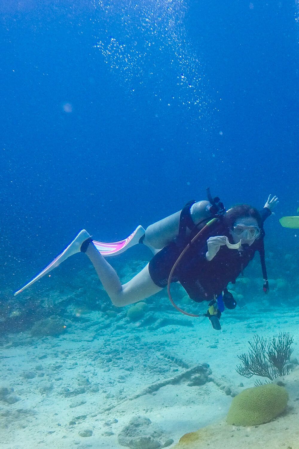 blue planet scuba happy hour blue planet scuba happy hour