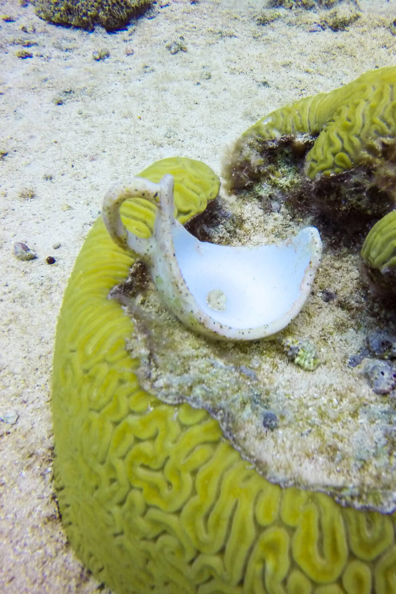 Diving in Bermuda