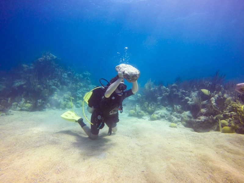 Diving in Bermuda