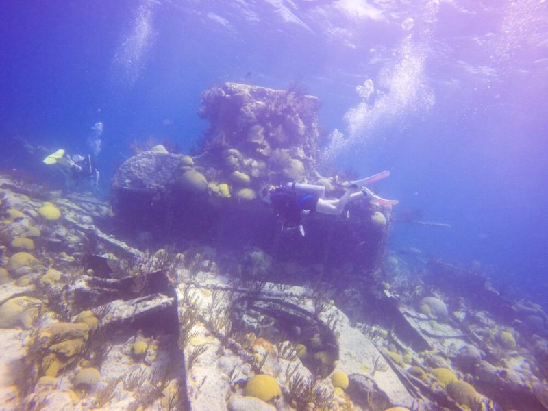 Diving in Bermuda