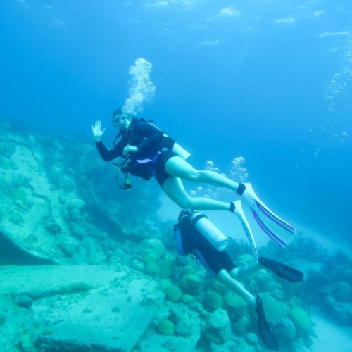 Diving in Bermuda with Blue Water Divers [Review]