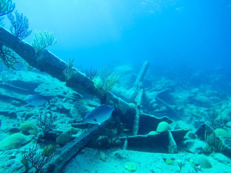 Diving in Bermuda