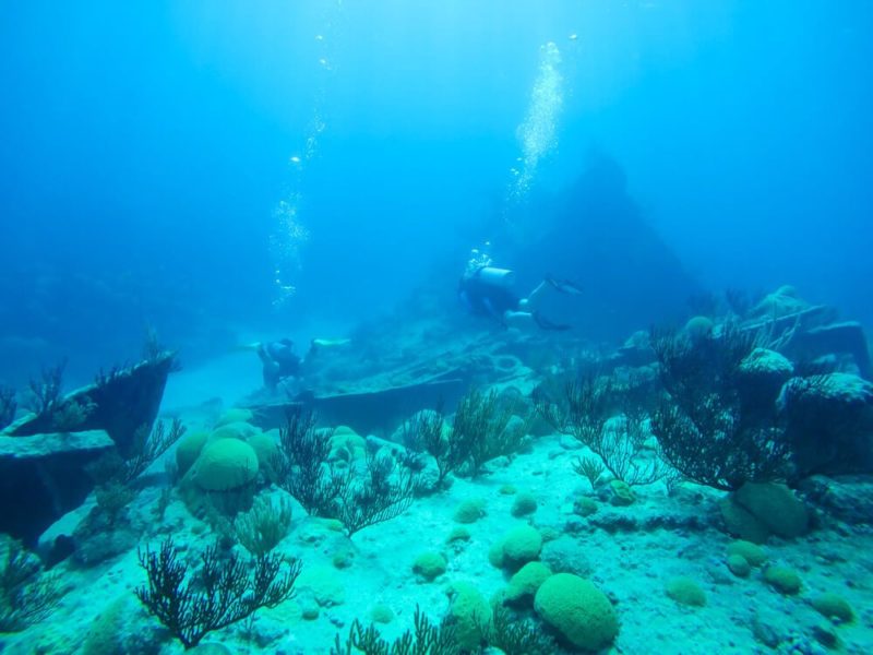 Diving in Bermuda