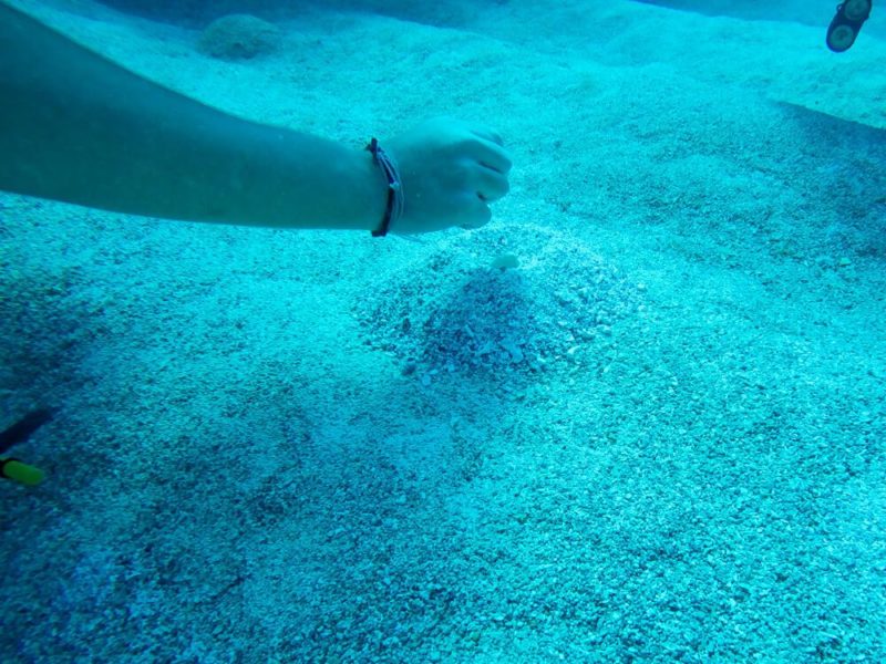 Diving in Bermuda